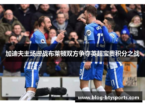 加迪夫主场迎战布莱顿双方争夺英超宝贵积分之战 加迪夫主场迎战布莱顿双方争夺英超宝贵积分之战